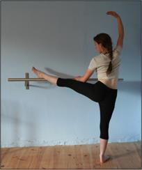 wall mounted balled barre